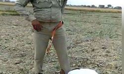 मैनपुरी : पुलिसकर्मी द्वारा अधेड़ से नाक रगड़वाने के मामले में एसपी अजय शंकर रॉय ने सिपाही बृजेंद्र को किया सस्पेंड