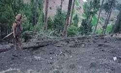 बालाकोट एयर स्ट्राइक: विदेशी पत्रकार का दावा- 130-170 जैश-ए-मोहम्मद आतंकी मारे गए बालाकोट एयर स्ट्राइक: विदेशी पत्रकार का दावा- 130-170 जैश-ए-मोहम्मद आतंकी मारे गए