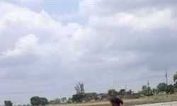 बहे पुरवइया रे ननदी.... बहे पुरवइया रे ननदी....