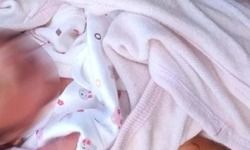 नर्सिंगहोम में घुसा कुत्ता, नवजात की आंख नोची, बच्चे की मौत