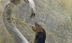 मरना है तो पढ़ो... मरना है तो पढ़ो...