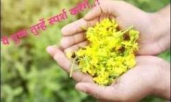 श्रृंगार की पंखुड़ियाँ...! श्रृंगार की पंखुड़ियाँ...!