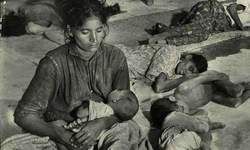 बापू के भरोसे निश्चिन्त बैठे पुरुष काट डाले गए....