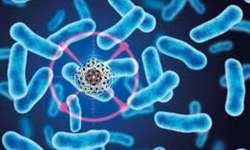 हमारा इम्यून सिस्टम क्या करता है वायरस को हराने के लिए ? हमारा इम्यून सिस्टम क्या करता है वायरस को हराने के लिए ?