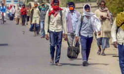 सही-सलामत मजदूरों को घर पहुंचाना सरकार की ज़िम्मेदारी : मोदी बनाम अखिलेश – प्रोफेसर डॉ. योगेन्द्र यादव