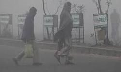 UP के कई जिलों में बारिश, उत्तराखंड-हिमाचल में बर्फबारी UP के कई जिलों में बारिश, उत्तराखंड-हिमाचल में बर्फबारी