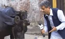 रविश की रिपोर्ट पर रिपोर्ट रविश की रिपोर्ट पर रिपोर्ट