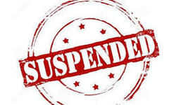 सरकारी कार्यों में लापरवाही बरतने पर लेखपाल  को किया निलंबित