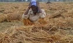 लॉक डाउन : प्रकृति और प्रशासन की मार से आहत अन्नदाता को भी है राहत पैकेज की जरूरत – प्रोफेसर डॉ. योगेन्द्र यादव लॉक डाउन : प्रकृति और प्रशासन की मार से आहत अन्नदाता को भी है राहत पैकेज की जरूरत – प्रोफेसर डॉ. योगेन्द्र यादव