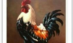 मुर्गा.................. ऊंची कलगी वाला डेढ़ फुट का गबरु.... मुर्गा.................. ऊंची कलगी वाला डेढ़ फुट का गबरु....