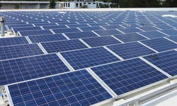 विश्व पर्यावरण दिवस पर सोलर लगवाये,पर्यावरण बचाये : नीरज बाजपेयी