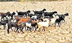 झांसी-ललितपुर निर्वाचन क्षेत्र के पांच गांव के वोटरों ने किया चुनाव बहिष्कार, कहा- पानी नहीं तो वोट नहीं झांसी-ललितपुर निर्वाचन क्षेत्र के पांच गांव के वोटरों ने किया चुनाव बहिष्कार, कहा- पानी नहीं तो वोट नहीं