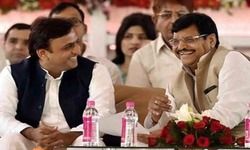 किस तरह से चुने जाते हैं राज्यसभा सदस्य, इस चुनाव में शिवपाल क्यों हैं इतने अहम? किस तरह से चुने जाते हैं राज्यसभा सदस्य, इस चुनाव में शिवपाल क्यों हैं इतने अहम?