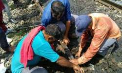 рд╕рд╣рд╛рд░рдирдкреБрд░ рдореЗрдВ рдЯрд▓рд╛ рдЯреНрд░реЗрди рд╣рд╛рджрд╕рд╛, рдЯреВрдЯреА рдкрдЯрд░реА рд╕реЗ рдЧреБрдЬрд░ рдЧрдИ рдорд╛рд▓рдЧрд╛рдбрд╝реА рд╕рд╣рд╛рд░рдирдкреБрд░ рдореЗрдВ рдЯрд▓рд╛ рдЯреНрд░реЗрди рд╣рд╛рджрд╕рд╛, рдЯреВрдЯреА рдкрдЯрд░реА рд╕реЗ рдЧреБрдЬрд░ рдЧрдИ рдорд╛рд▓рдЧрд╛рдбрд╝реА