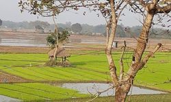 बसंत ऋतु के पाँचवाँ दिन....बसंत पंचमी एगो अइसन पर्व ह जवना के आध्यात्मिक लौकिक दूनों स्तर पर महत्व बा बसंत ऋतु के पाँचवाँ दिन....बसंत पंचमी एगो अइसन पर्व ह जवना के आध्यात्मिक लौकिक दूनों स्तर पर महत्व बा