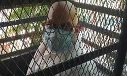 बनारस:- पूर्व कांग्रेसी विधायकअजय राय की गिरफ़्तारी। सरकार के खिलाफ शिक्षकों कि नियुक्ति के भ्रष्टाचार पर बोलने पर, गरीबों मजदूरों किसानों छात्रों बेरोजगारों की आवाज उठाने पर गिरफ्तार बनारस:- पूर्व कांग्रेसी विधायकअजय राय की गिरफ़्तारी। सरकार के खिलाफ शिक्षकों कि नियुक्ति के भ्रष्टाचार पर बोलने पर, गरीबों मजदूरों किसानों छात्रों बेरोजगारों की आवाज उठाने पर गिरफ्तार