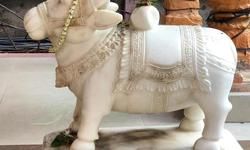 वाराणसी : नर्मदेश्वर महादेव मन्दिर अस्सी पर स्थित है लगभग 300 वर्ष पुराना है यहाँ नन्दी जी खड़े रहते हैं, खड़े नन्दी का बहुत ही दुर्लभ मूर्ति है.....हर हर महादेव.....