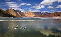 लद्दाख: पीछे नहीं लौटना चाहते थे 15 चीनी सैनिक, जानिए कैसे पत्थरबाजों को ITBP ने सिखाया सबक लद्दाख: पीछे नहीं लौटना चाहते थे 15 चीनी सैनिक, जानिए कैसे पत्थरबाजों को ITBP ने सिखाया सबक