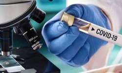 वाराणसी में आज एक पुलिसकर्मी समेत 18 लोग मिले कोरोना पॉजिटिव वाराणसी में आज एक पुलिसकर्मी समेत 18 लोग मिले कोरोना पॉजिटिव