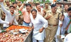 महंगाई के विरोध में कांग्रेसियों ने सड़क पर बेचा प्याज-टमाटर महंगाई के विरोध में कांग्रेसियों ने सड़क पर बेचा प्याज-टमाटर