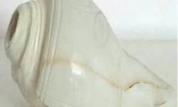 शंख............