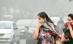 दिल्ली-एनसीआर में जहरीली धुंध: NGT ने यूपी, पंजाब, हरियाणा और दिल्ली सरकार से पूछा- बचाव के लिए क्या-क्या कदम उठाए गए दिल्ली-एनसीआर में जहरीली धुंध: NGT ने यूपी, पंजाब, हरियाणा और दिल्ली सरकार से पूछा- बचाव के लिए क्या-क्या कदम उठाए गए