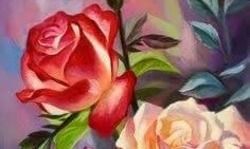 नाको-8 पञ्चरात्रि नाको-8 पञ्चरात्रि