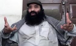 आतंक के खिलाफ बड़ी सफलता: अमेरिका ने सैयद सलाहुद्दीन को अंतरराष्ट्रीय आतंकी घोषित किया