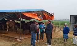 संयुक्त निदेशक ने किया पशु आश्रय केंद्र का निरीक्षण
