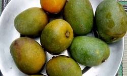 बीजू अर्थात् दूसरा या जूठन बीजू अर्थात् दूसरा या जूठन