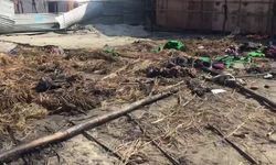 प्रयागराज माघ मेले में लगी भयंकर आग, जलकर खाक हुआ शिविर