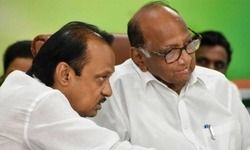 एक बार फिर भतीजे ने चाचा को किय चित : अभय सिंह एक बार फिर भतीजे ने चाचा को किय चित : अभय सिंह