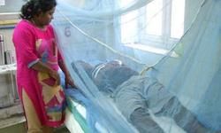 स्वास्थ्य मंत्री के गढ़ में स्वाइन फ्लू और डेंगू का कहर, 34 मौतों से मचा हड़कंप स्वास्थ्य मंत्री के गढ़ में स्वाइन फ्लू और डेंगू का कहर, 34 मौतों से मचा हड़कंप