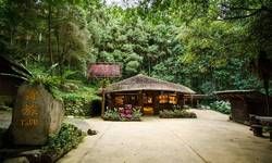 भारतीय समाज को समझने के लिए ग्रामीण अध्ययन आवश्यक : प्रो. आशीष सक्सेना भारतीय समाज को समझने के लिए ग्रामीण अध्ययन आवश्यक : प्रो. आशीष सक्सेना