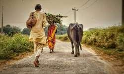 गाँव, मनोहर- संगीता की शादी और कोरोना माई गाँव, मनोहर- संगीता की शादी और कोरोना माई