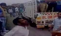 कानूनन ले जा रहे थे मवेशी, पीट-पीटकर ली एक की जान, मंत्री बोले- गोरक्षकों ने किया अच्छा काम कानूनन ले जा रहे थे मवेशी, पीट-पीटकर ली एक की जान, मंत्री बोले- गोरक्षकों ने किया अच्छा काम