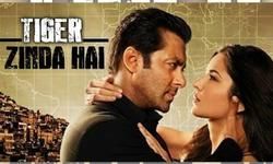 बुरे हाल में है टाइगर ज़िंदा है की टीम, निर्देशक ने किया सोशल मीडिया पर खुलासा बुरे हाल में है टाइगर ज़िंदा है की टीम, निर्देशक ने किया सोशल मीडिया पर खुलासा