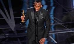 महेरशला अली, एक्टिंग के लिए ऑस्कर जीतने वाले पहले मुस्लिम एक्टर महेरशला अली, एक्टिंग के लिए ऑस्कर जीतने वाले पहले मुस्लिम एक्टर