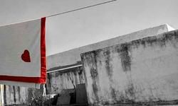 शाम से आँख में नमी सी है.... शाम से आँख में नमी सी है....