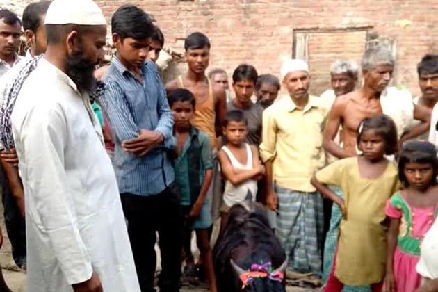 हिंदू के यहां जन्मे बकरे की पीठ पर लिखा है अल्लाह, देखने को उमड़ी भीड़ हिंदू के यहां जन्मे बकरे की पीठ पर लिखा है अल्लाह, देखने को उमड़ी भीड़