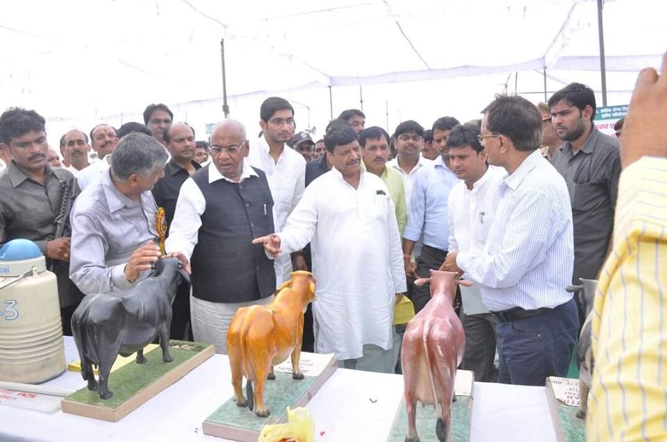 दलाली करने वालों की पार्टी में जगह नहीं दलाली करने वालों की पार्टी में जगह नहीं